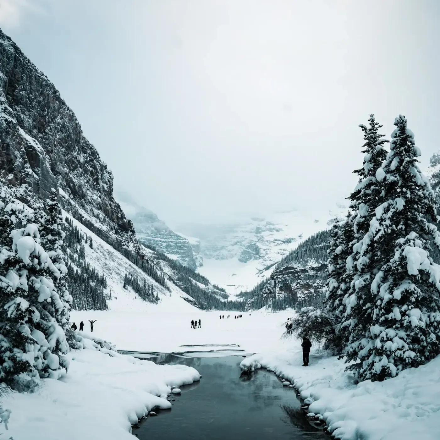 A frozen valley at Lake Louise with snow-covered pines and a path through the middle