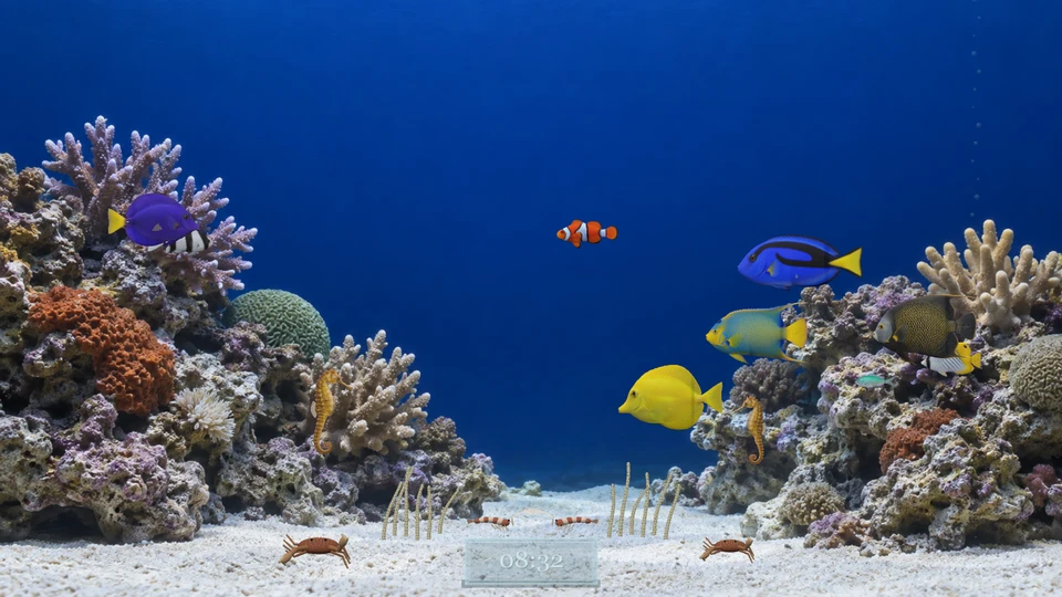 A blue reef aquarium with colourful tropical fish, coral islands, garden eels, seahorses and a small glass clock on pale sand.